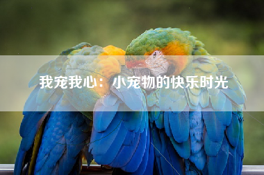 我宠我心：小宠物的快乐时光