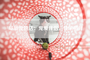 阜新宠物店：宠爱伴侣，快乐相伴