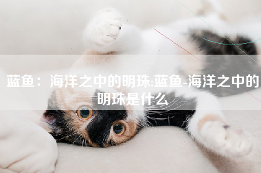 蓝鱼：海洋之中的明珠;蓝鱼-海洋之中的明珠是什么