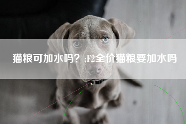 猫粮可加水吗？;F2全价猫粮要加水吗