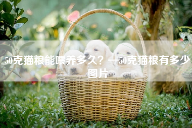 50克猫粮能喂养多久？—50克猫粮有多少图片