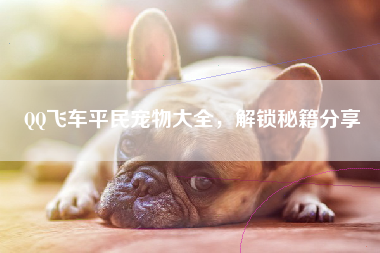 QQ飞车平民宠物大全，解锁秘籍分享