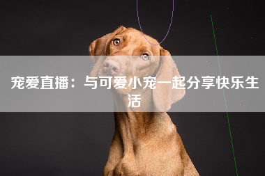 宠爱直播：与可爱小宠一起分享快乐生活