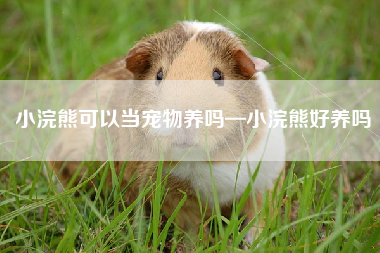 小浣熊可以当宠物养吗—小浣熊好养吗