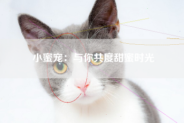 小蜜宠：与你共度甜蜜时光