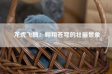 龙虎飞腾：翱翔苍穹的壮丽景象