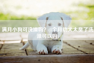 满月小狗可洗澡吗？(1个月幼犬太臭了洗澡可以吗)