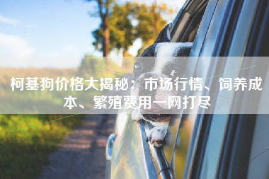 柯基狗价格大揭秘：市场行情、饲养成本、繁殖费用一网打尽