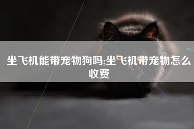 坐飞机能带宠物狗吗;坐飞机带宠物怎么收费