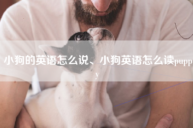 小狗的英语怎么说、小狗英语怎么读puppy
