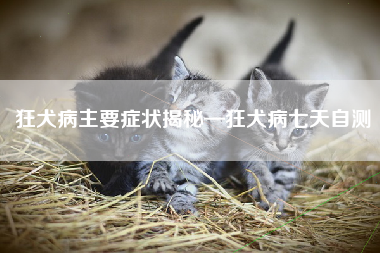 狂犬病主要症状揭秘—狂犬病七天自测