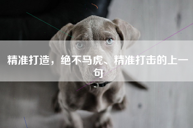 精准打造，绝不马虎、精准打击的上一句