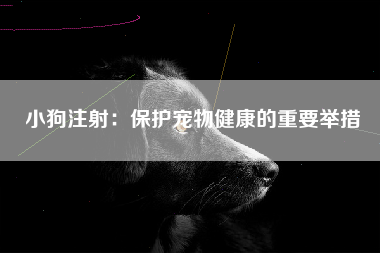 小狗注射：保护宠物健康的重要举措