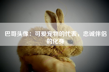 巴哥头像：可爱宠物的代表，忠诚伴侣的化身