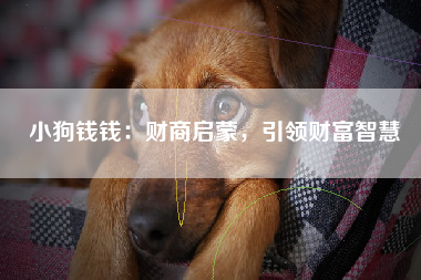 小狗钱钱：财商启蒙，引领财富智慧