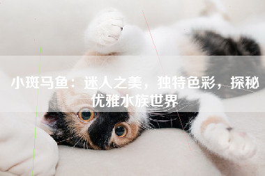 小斑马鱼：迷人之美，独特色彩，探秘优雅水族世界