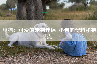 小狗：可爱的宠物伴侣_小狗的资料和特点