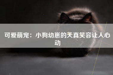 可爱萌宠：小狗幼崽的天真笑容让人心动