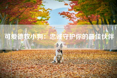 可爱德牧小狗：忠诚守护你的最佳伙伴