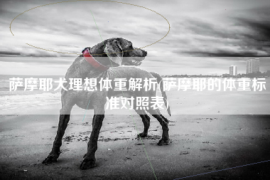 萨摩耶犬理想体重解析(萨摩耶的体重标准对照表)