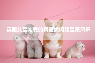 英国女皇宠爱的柯基犬闪耀皇家风采