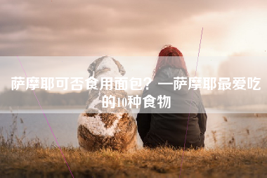 萨摩耶可否食用面包？—萨摩耶最爱吃的10种食物