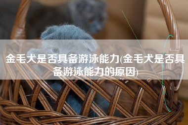 金毛犬是否具备游泳能力(金毛犬是否具备游泳能力的原因)