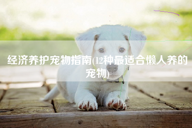 经济养护宠物指南(12种最适合懒人养的宠物)