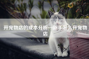 开宠物店的成本分析—新手怎么开宠物店