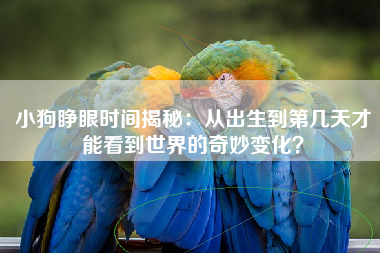 小狗睁眼时间揭秘：从出生到第几天才能看到世界的奇妙变化？