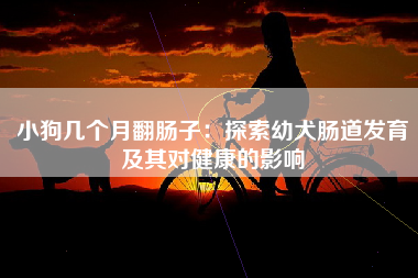 小狗几个月翻肠子：探索幼犬肠道发育及其对健康的影响