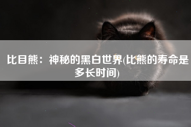 比目熊：神秘的黑白世界(比熊的寿命是多长时间)