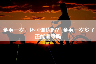 金毛一岁，还可训练吗？(金毛一岁多了还能训乖吗)