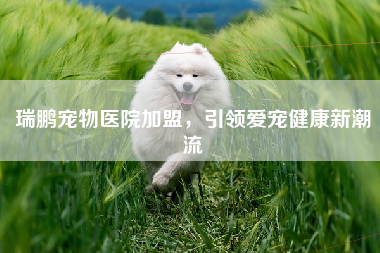 瑞鹏宠物医院加盟，引领爱宠健康新潮流