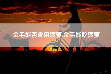 金毛能否食用菠萝,金毛能吃菠萝