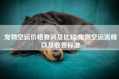 宠物空运价格查询及比较,宠物空运流程以及收费标准