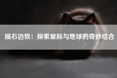 陨石边牧：探索星际与地球的奇妙结合