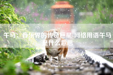 午马：音乐界的传奇巨星-网络用语午马是什么意思