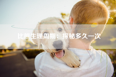 比熊生理周期：探秘多久一次