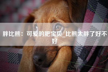 胖比熊：可爱的肥宝贝_比熊太胖了好不好