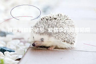 被撒狗粮的秘密- 爱情中的甜蜜陷阱