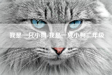 我是一只小狗-我是一只小狗二年级