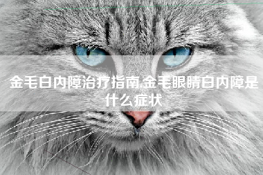 金毛白内障治疗指南,金毛眼睛白内障是什么症状