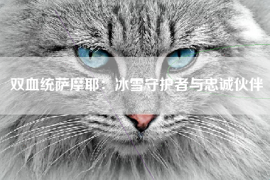 双血统萨摩耶：冰雪守护者与忠诚伙伴