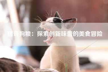 猎奇狗粮：探索创新味蕾的美食冒险