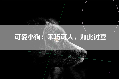 可爱小狗：乖巧可人，如此讨喜