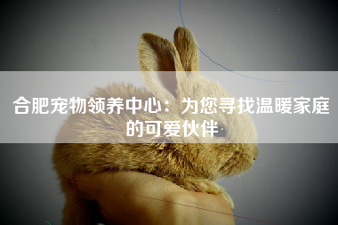 合肥宠物领养中心：为您寻找温暖家庭的可爱伙伴