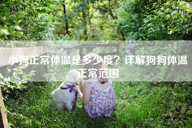 小狗正常体温是多少度？详解狗狗体温正常范围