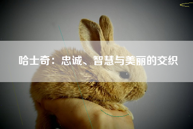 哈士奇：忠诚、智慧与美丽的交织