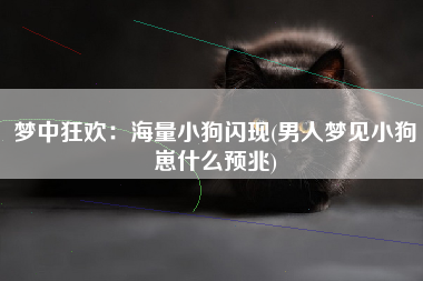 梦中狂欢：海量小狗闪现(男人梦见小狗崽什么预兆)